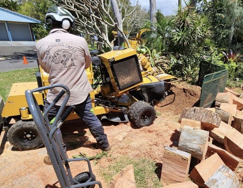 Stump Grinding